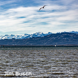 Jim Busch: Fernsucht - Fotografie ((Foto vom Meer(esbucht) im Vordergrund und Bergen am Horizont)